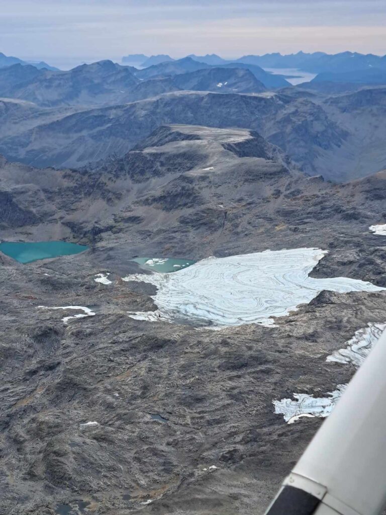 Flytjenesten på oppdrag